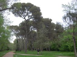 Vaugrenier