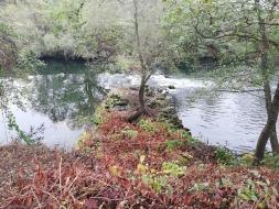 Sur la promenade le long de l'Orne 