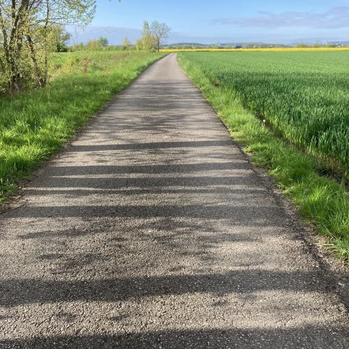 Photo de Bord de Moselle run rive droite 