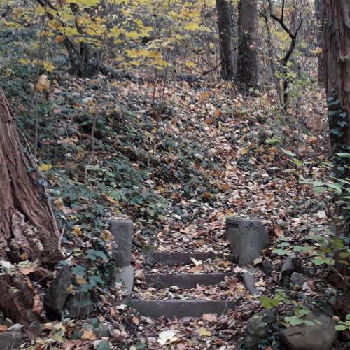 Photo de Chemin de forêt bordant la Vesdre