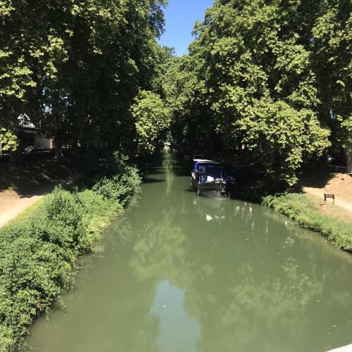 Photo de Péniche le cri de la mouette