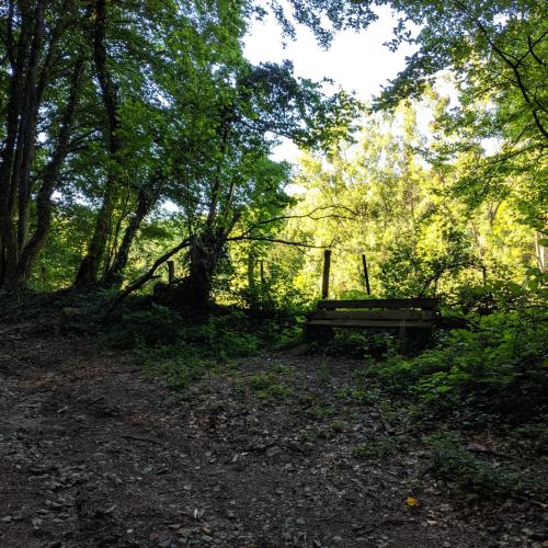 Banc dans la forêt à Saulny