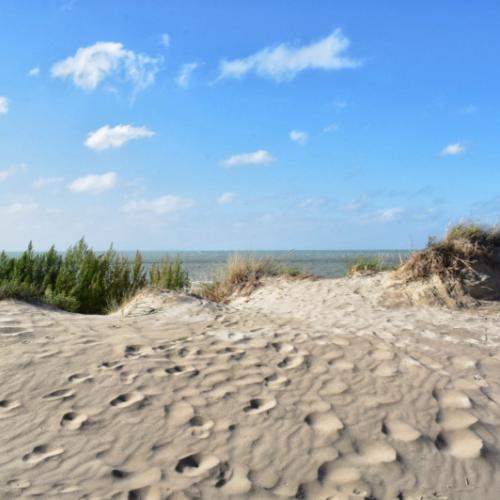 Photo de Dunes de Leffrinckouke