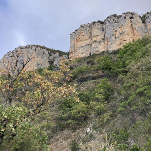 Les Causses Trail des templiers 