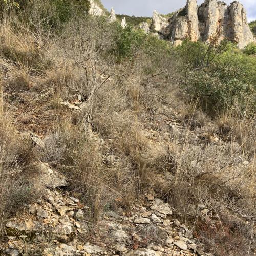 Les Causses Trail des templiers 