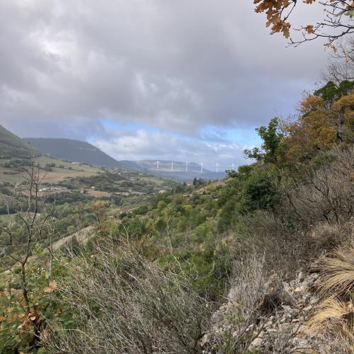 Les Causses Trail des templiers 