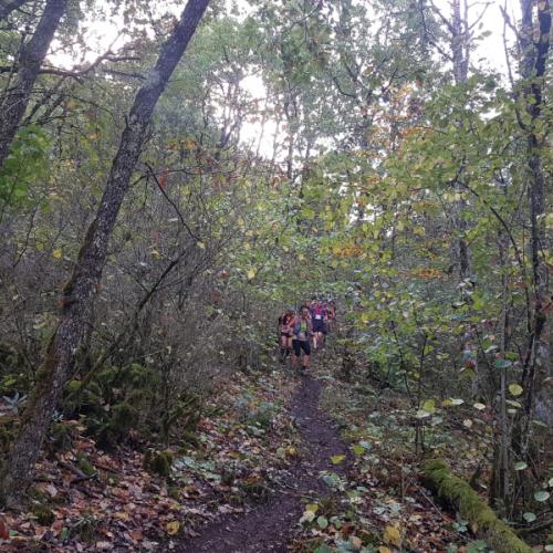 Les Causses Trail des templiers 