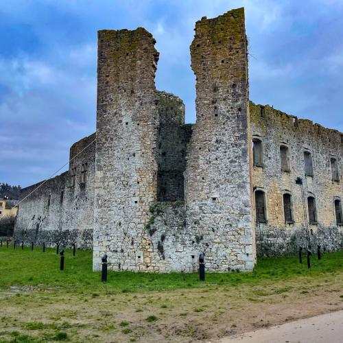 Photo de Château de Koerich