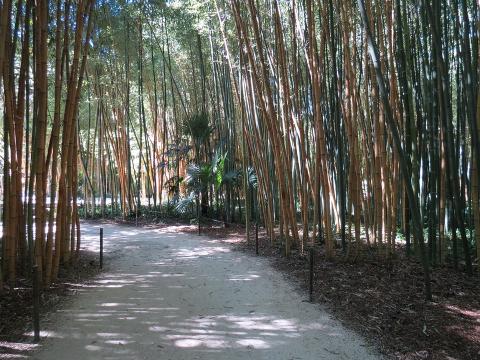 La Bambouseraie en Cévennes