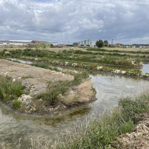 Photo de Le Paysan du Sel