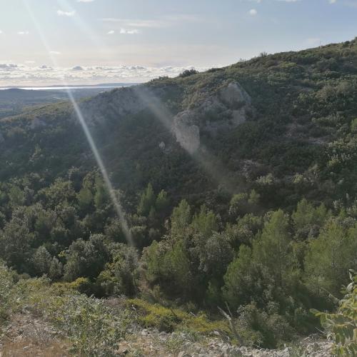 Photo de Bouche du Rhône 