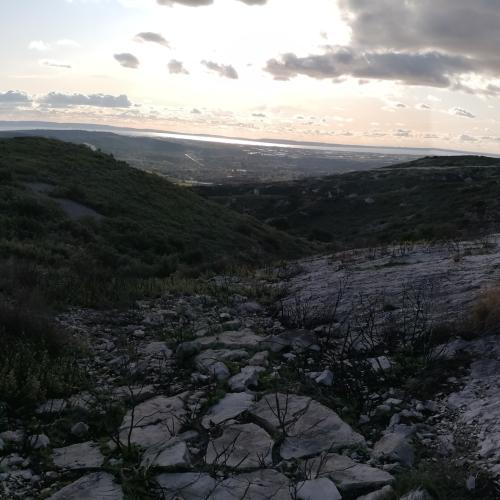 Photo de Bouche du Rhône 