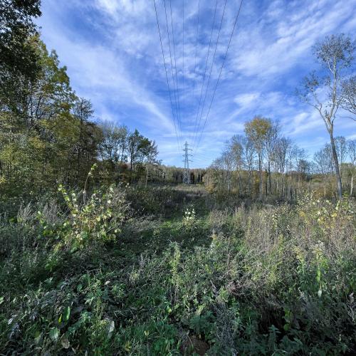 Photo de Hauteurs de Saint-Nicolas-en-Forêt