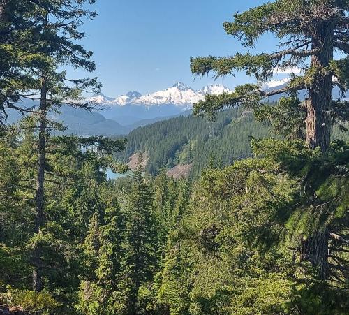 Photo de Randonnée à Whistler (station olympique)