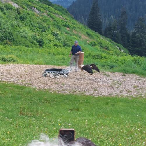 Photo de Grouse Mountain