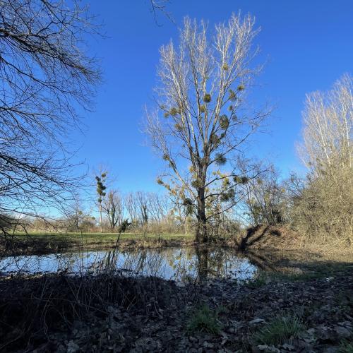 Photo de Véloroute Charles le Téméraire 