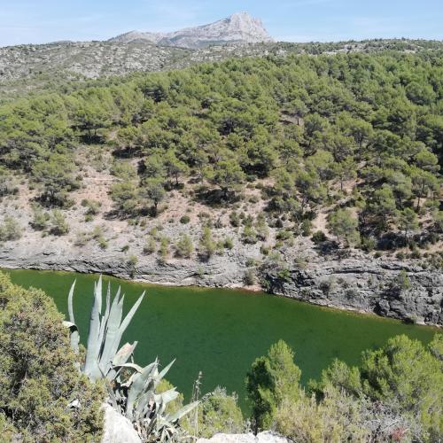 Point de Vue - Lac Zola