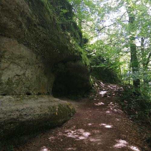 Photo de Lac de Pierre-Percée 