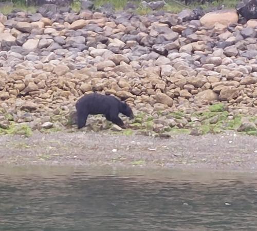 Photo de Baie de Tofino