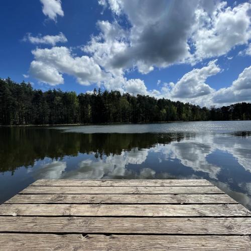 Photo de Etang du Lieschbach