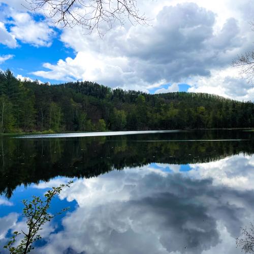 Photo de Etang du Lieschbach