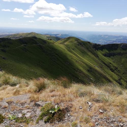 Photo de Plomb du Cantal