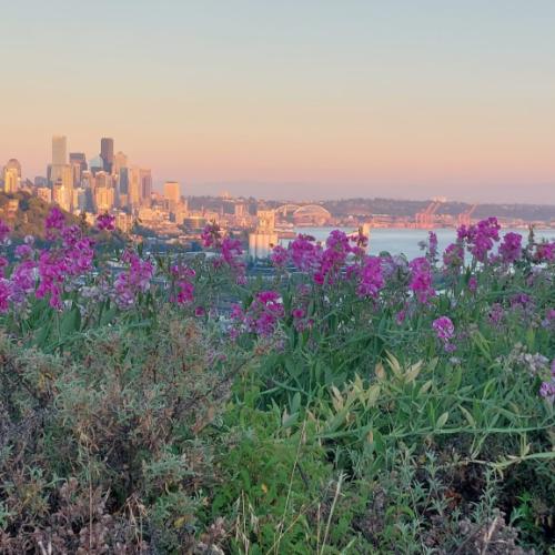 Photo de Vue imprenable sur Seattle 