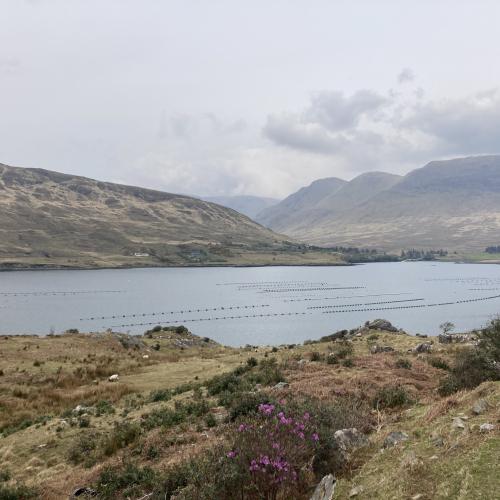 Photo de Connemara National Park - Diamond Hill