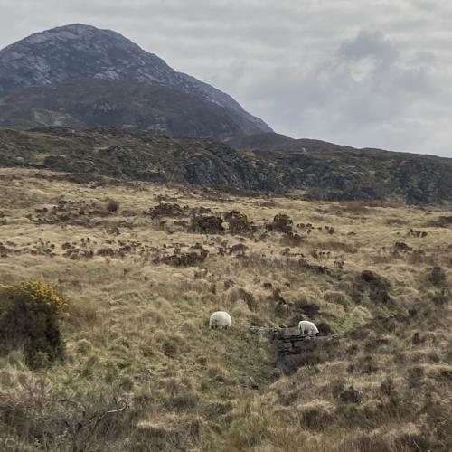 Photo de Connemara National Park - Diamond Hill