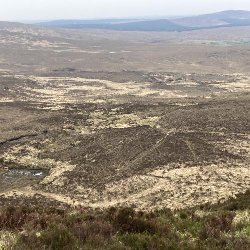 Photo de Connemara National Park - Diamond Hill