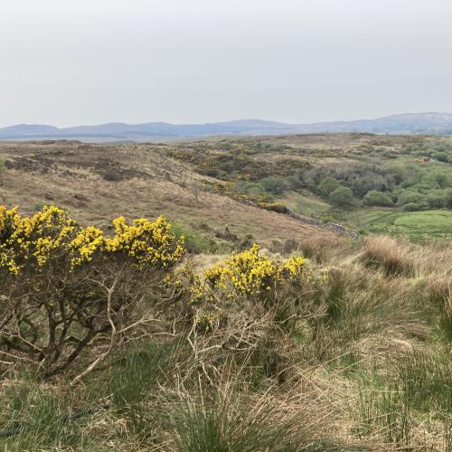 Photo de Connemara National Park - Diamond Hill