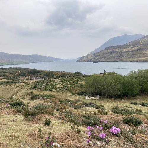 Photo de Connemara National Park - Diamond Hill