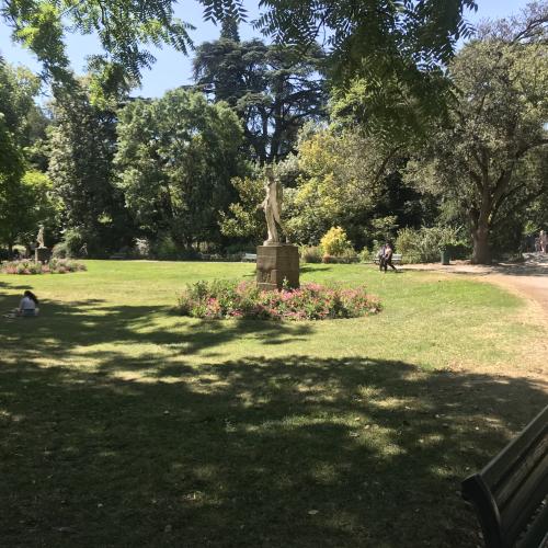 Jardin des plantes