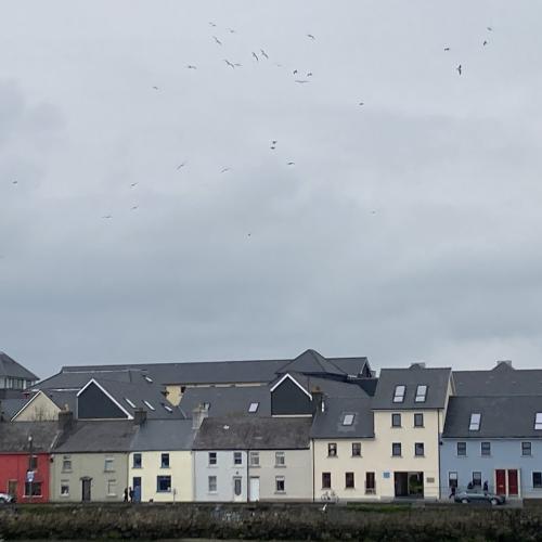 Photo de Galway