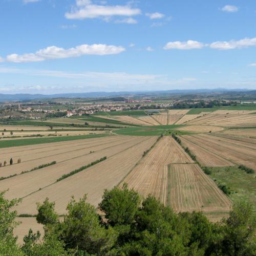 Photo de Oppidum D'Enserune