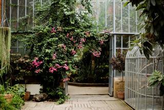 Photo de Jardin botanique de Metz