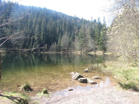 Photo de Lac de la Maix