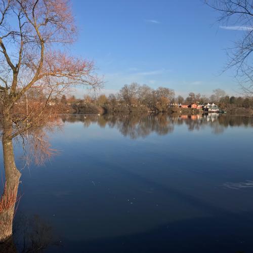 Photo de Étang de la Ballastière 