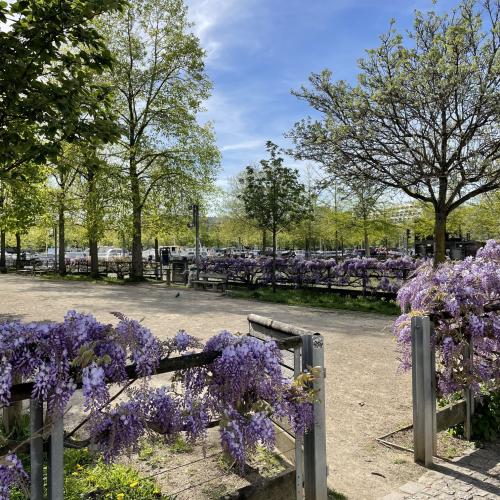 Jardin d’eau