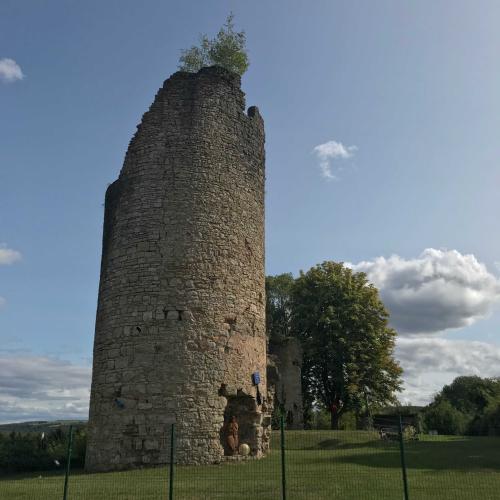 Photo de Château de Frauenberg