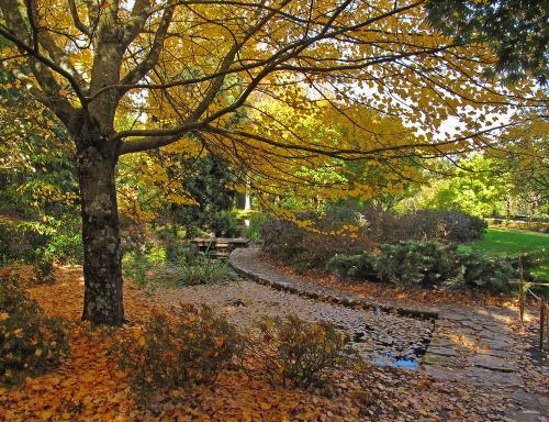 Jardin Botanique de Tours