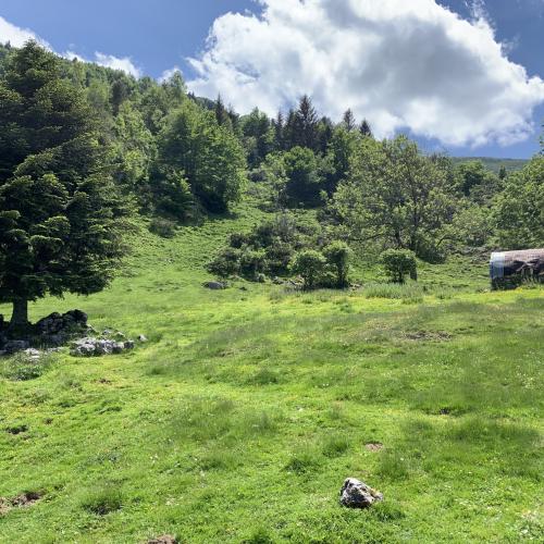 Photo de Vallée du Mont Béat - Etang de Lers