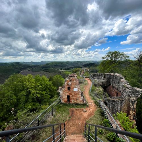 Château de Falkenstein  - Lieu insolite en Moselle