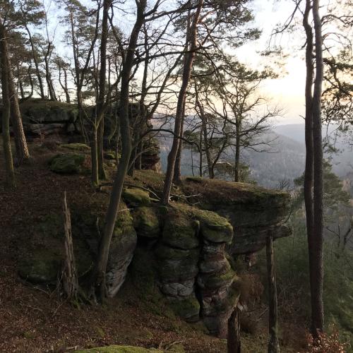 Rocher des Vosges 