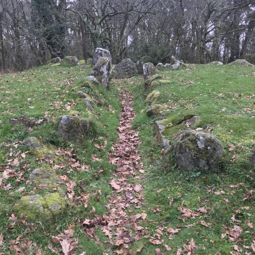 Dolmen de Mané Bogad