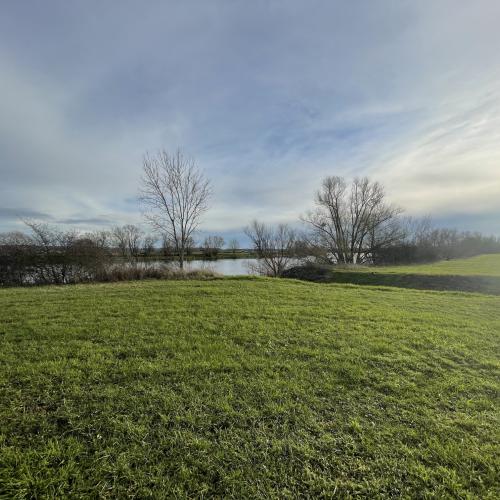 Photo de Berges de la Moselle