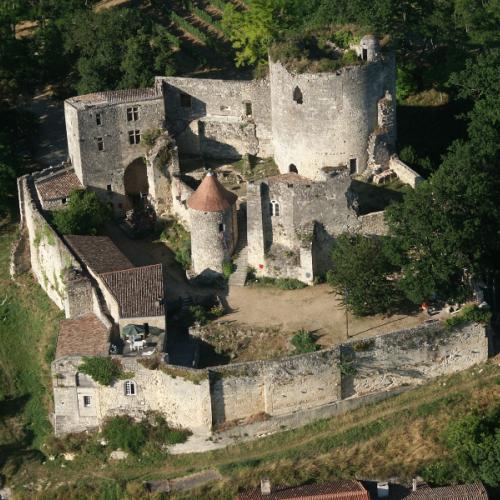 Château de Langoiran