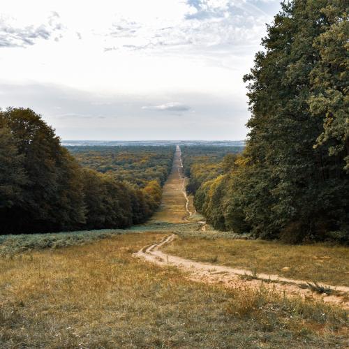 Avenue des Beaux-Monts