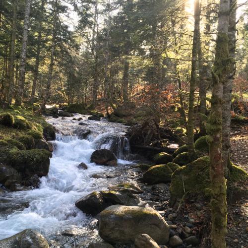 Photo de Vallée de Campan Payolle