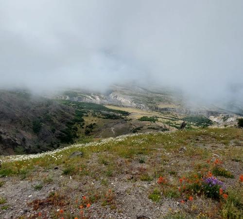 Photo de Mont St Helens 